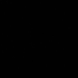 Meet your Posher, Jess